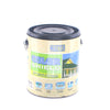 Color Shield Green Primer & Sealer