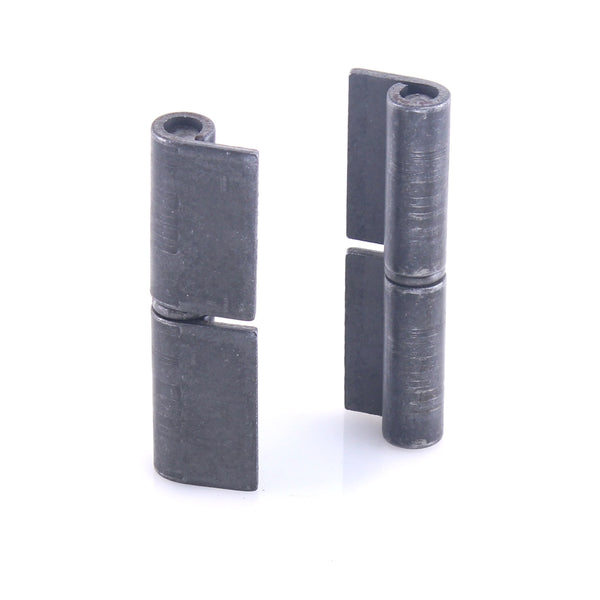 Plug Hinge With Right & Left Wing