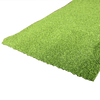Always Green Lawn Green Turf Roll